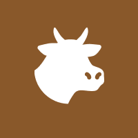 Live Cattle