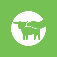 Beyond Meat