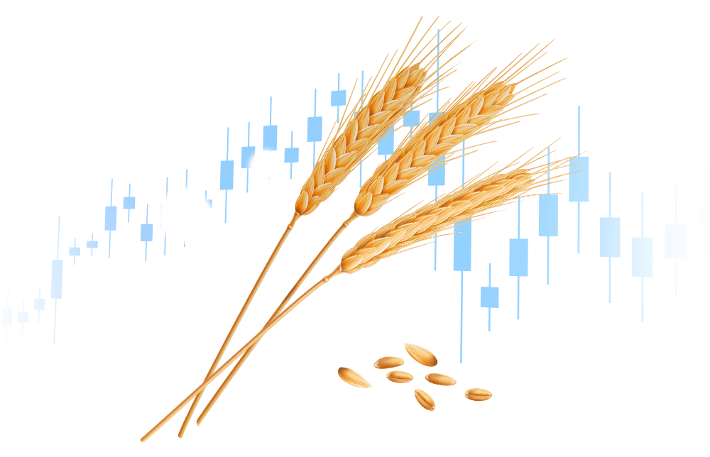 An illustration of wheat as a commodity