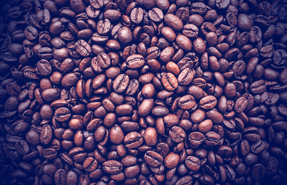 A person holding a Cup of Coffee while looking at a trade chart on his phone.