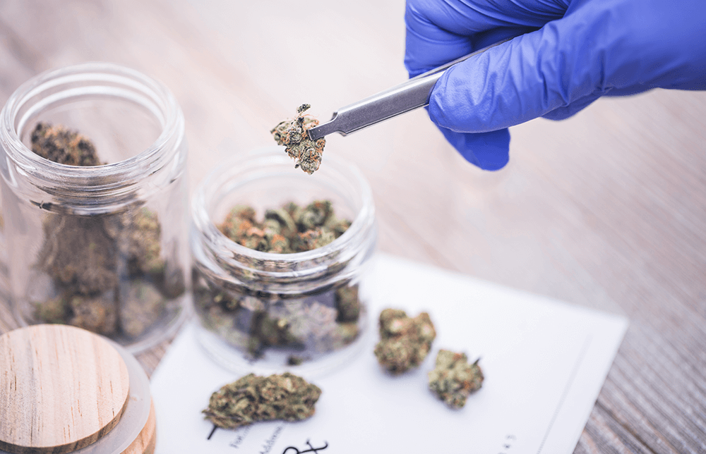 A photo of a gloved hand inserting Medical Marijuana to jars with a tweezer A photo of a gloved hand inserting Medical Marijuana to jars with a tweezer