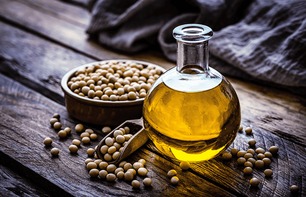 An image of soybeans and a bottle of soybeans oil. An image of soybeans and a bottle of soybeans oil.