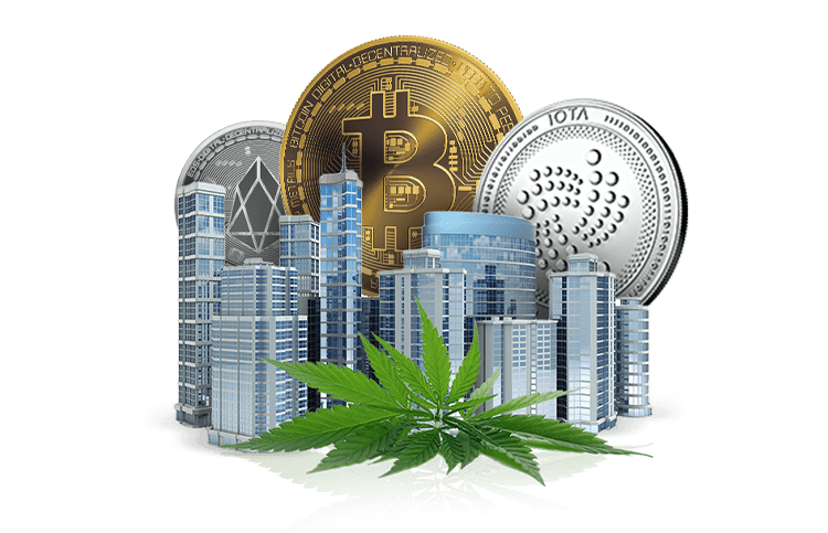 Cityscape with Crypto and Cannabis. Cityscape with Crypto and Cannabis.
